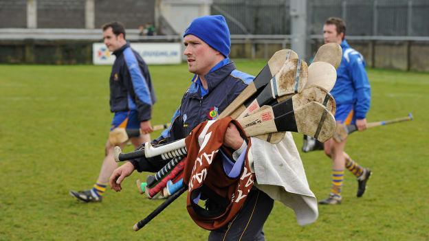 Johnny Keane has been ratified as the new Roscommon senior hurling manager.