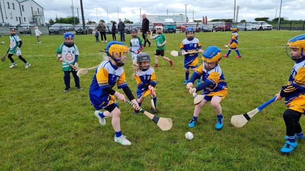 A strong emphasis on underage development has paid off handsomely for Easkey/St Farnans.