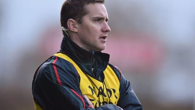 Tony McEntee has been appointed as the new Sligo manager.