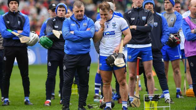 Waterford were beaten by Limerick in the Allianz Hurling League Final at Croke Park.