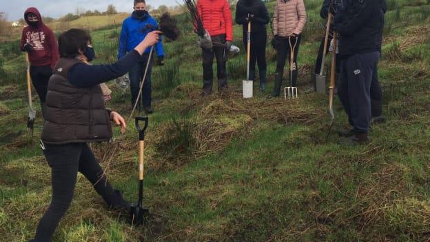 Transition Year pupils from St Louis, Kiltamagh
, St Colman’s, Claremorris, and St Joseph’s, Charlestown have worked on a biodiversity project at the Connacht GAA Centre of Excellence under the guidance of Margie Phillips of Teagasc. 