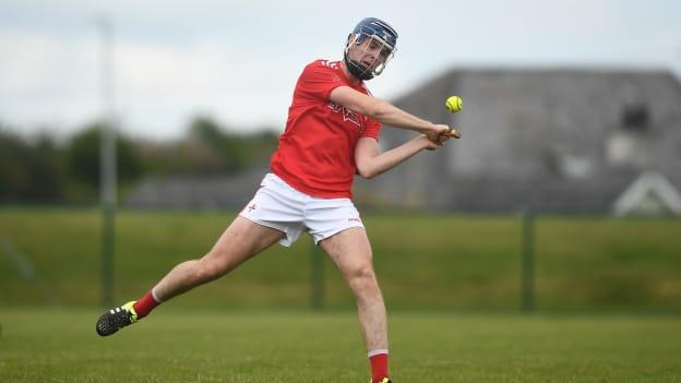 Darren Geoghegan has hit 2-31 in three starts and one sub appearance for Louth during their Lory Meagher Cup campaign. 