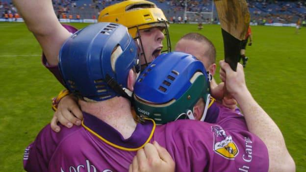 Wexford players celebrating following the dramatic win over Kilkenny in 2004.