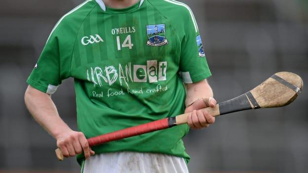 Fermanagh have been boosted by the addition to the panel of dual star Ciarán Corrigan for the Lory Meagher Cup Final against Louth. 