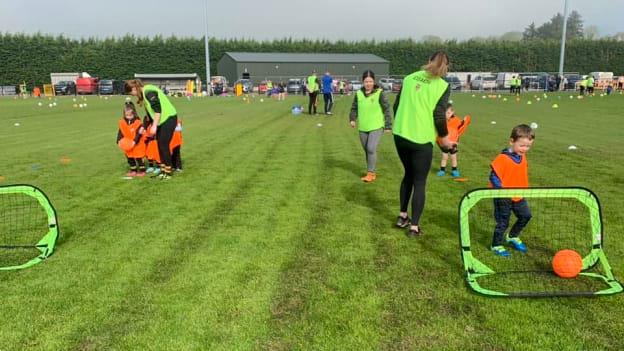 Over 60 coaches are involved with the Corduff Gaels nursery. 