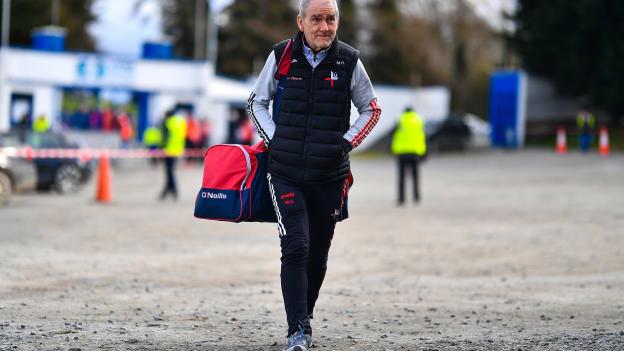 Louth senior football manager Mickey Harte. Photo by Ben McShane/Sportsfile