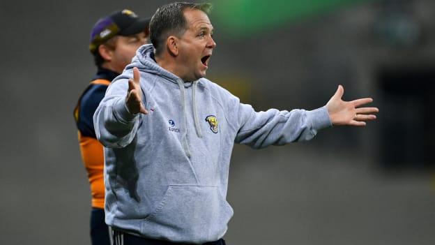 Wexford manager Davy Fitzgerald pictured during the Leinster GAA Hurling Senior Championship Semi-Final match between Galway and Wexford at Croke Park in Dublin.