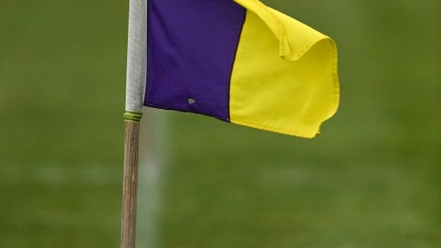 Wexford defeated Laois in the oneills.com Leinster U20 Hurling Championship at MW Hire O'Moore Park.