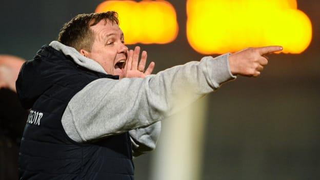 Wexford manager Davy Fitzgerald watching last weekend's Walsh Cup Final.