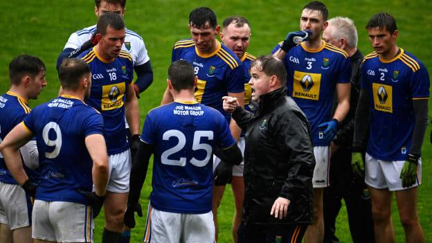 Davy Burke's Wicklow claimed promotion from Division Four of the Allianz Football League.