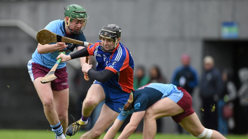 Fitzgibbon Cup: Mary I cruise into last four