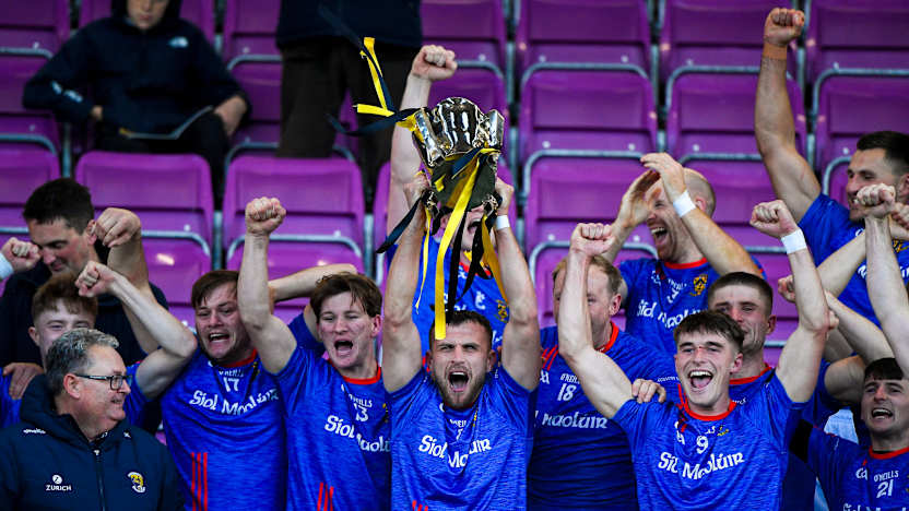 Wexford SHC Final: Shelmaliers resist Rathnure comeback