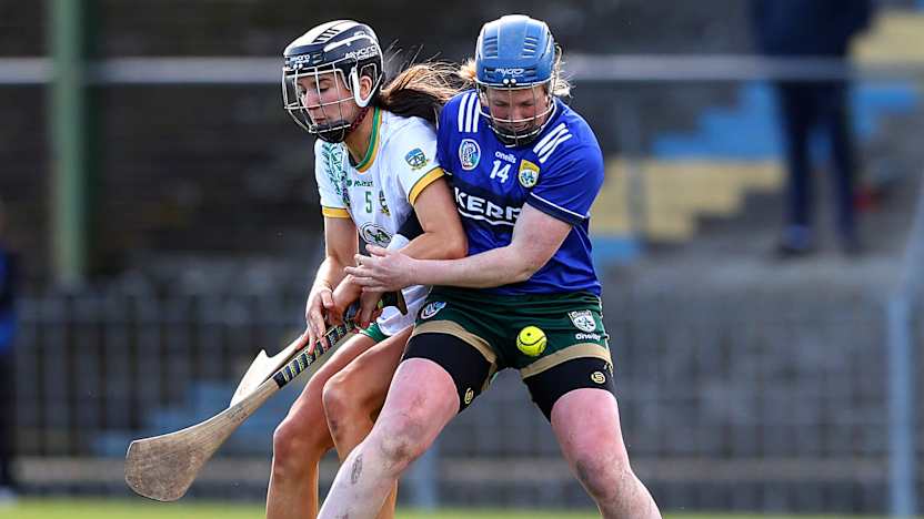 No horsing around as Collins can't ignore Kingdom’s call