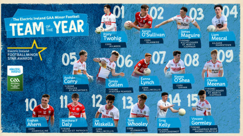 Electric Ireland GAA Minor Star Football Team of the Year