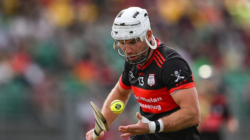 Carlow SHC Final: Glory again for Mount Leinster Rangers