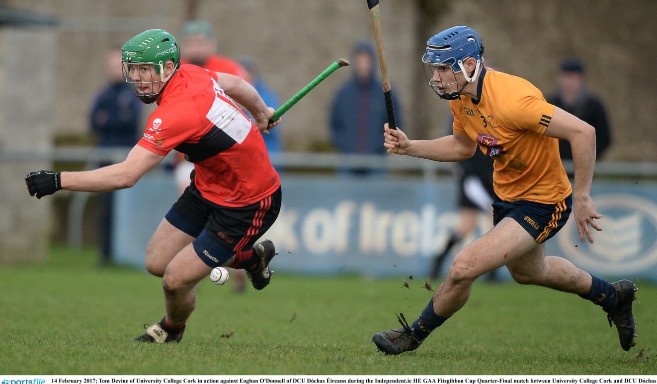 Gorgeous Preview: Electric Ireland Fitzgibbon Cup Semi-finals Design for Mobile