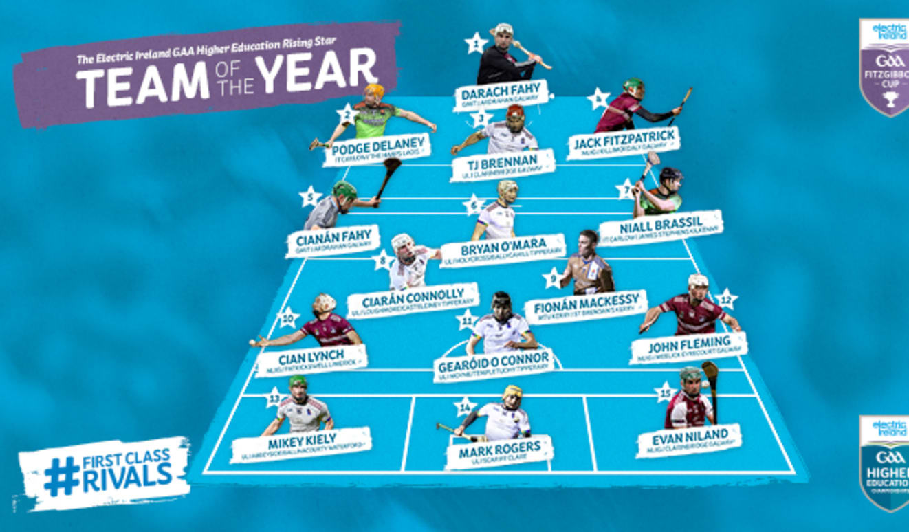 Electric Ireland Fitzgibbon Cup Team of the Year