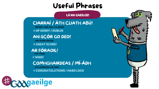 GAAgaeilge to take centre stage at Sunday’s All-Ireland Football Semi-Final