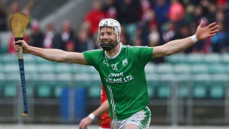 St Mullins' Jack Kavanagh celebrates at Netwatch Cullen Park.