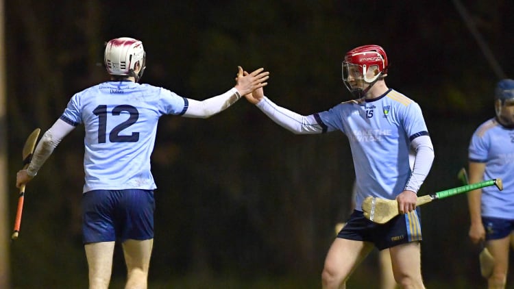 UCD's Donal O'Shea and Liam Murphy celebrate following a hard earned Electric Ireland Fitzgibbon Cup win over Maynooth University.