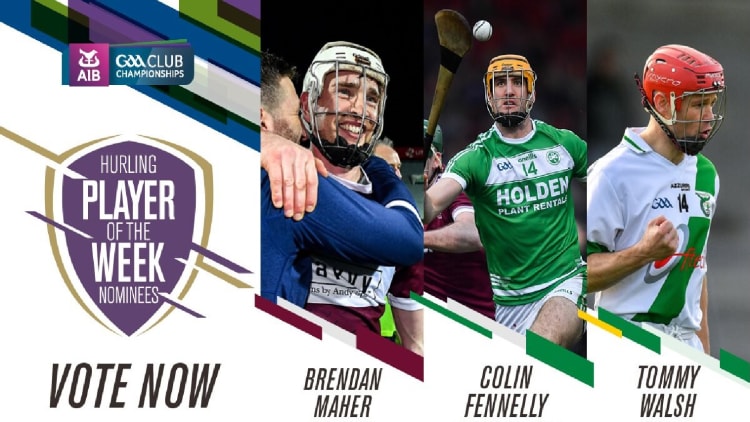 GAA.ie Hurler of the Week nominations.