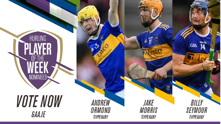 GAA.ie Hurler of the Week nominations.