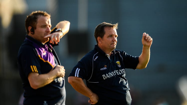 Wexford selector Seoirse Bulfin is a key figure in Davy Fitzgerald's backroom team.