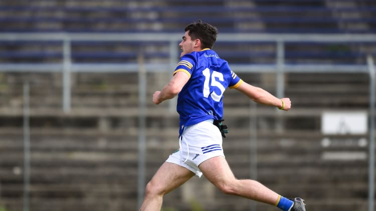 Eoin Darcy found the net twice for Wicklow in Chadwicks Wexford Park yesterday.