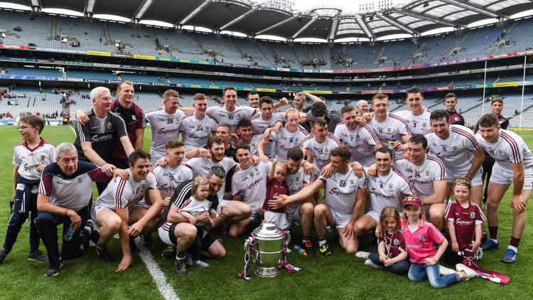Leinster SHC Final: Galway blitz Wexford