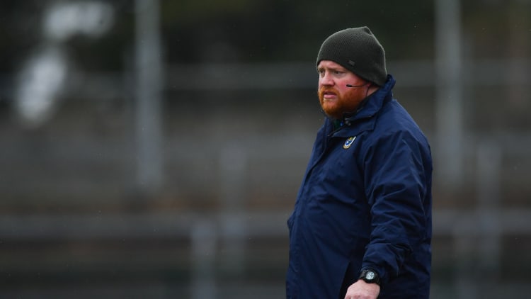 Ciarán Comerford has stepped down as Roscommon hurling team manager.