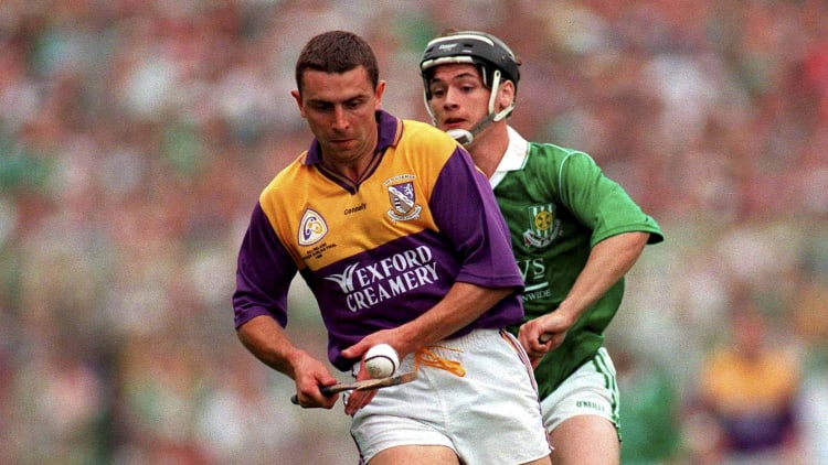 Wexford's Larry O'Gorman in action against Limerick's Barry Foley in the 1996 All-Ireland SHC Final.