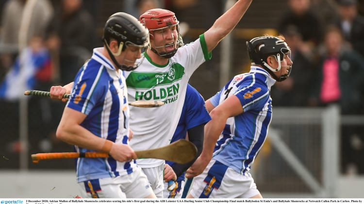 Adrian celebrates after scoring a goal for Ballyhale Shamrocks at Netwatch Cullen Park.