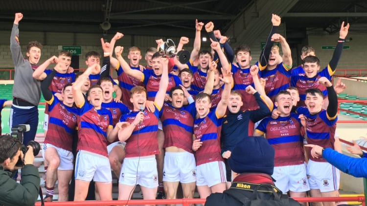 University of Limerick celebrate after defeating Limerick IT in the Electric Ireland Freshers Division 1 Hurling Final.
