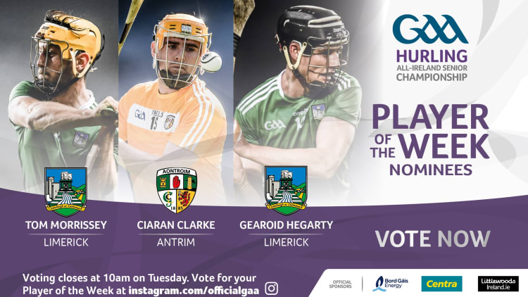 GAA.ie Hurler of the Week nominations.