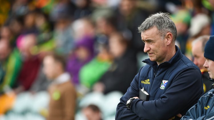 Mattie McGleenan has stepped down as Cavan manager.