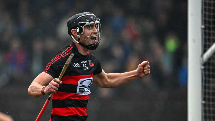 Ballygunner's Pauric Mahony celebrates at Walsh Park.