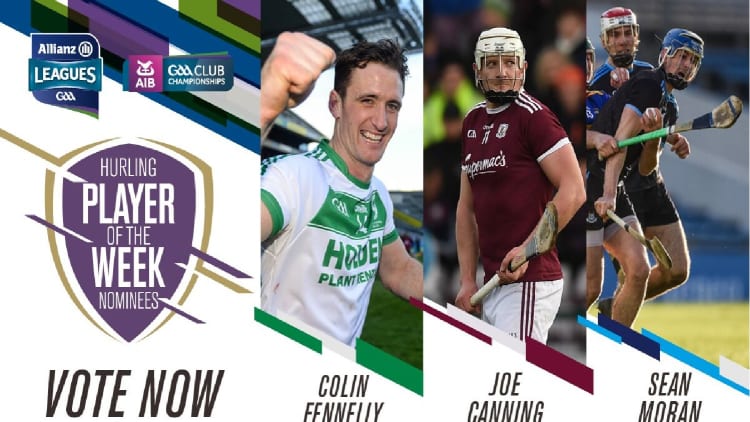 GAA.ie Hurler of the Week nominations.