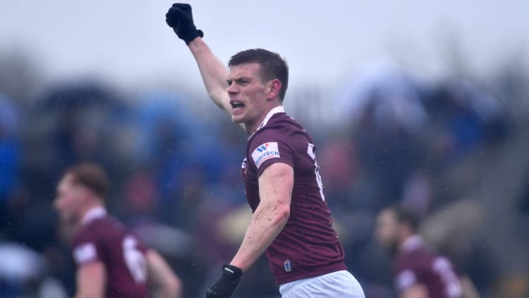 Westmeath's John Heslin celebrates at TEG Cusack Park.