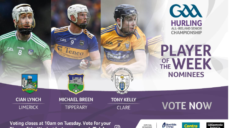 GAA.ie Hurler of the Week nominations.