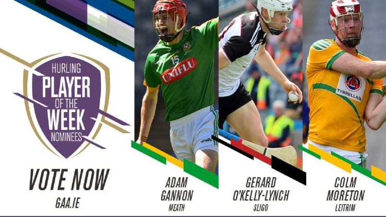 GAA.ie Hurler of the Week nominations.