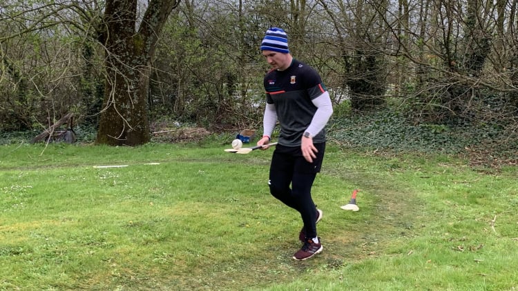 A well-worn trail marks Cathal Freeman's garden marathon route.