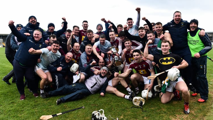 Westmeath players and management team celebrate following Sunday's Allianz Hurling League Division 2A triumph against Kerry at Cusack Park.