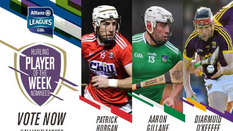 GAA.ie Hurler of the Week nominations.