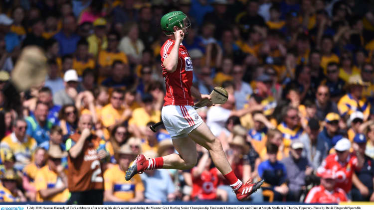 Seamus Harnedy of Cork celebrates after scoring his side's second goal against Clare in the Munster SHC Final.