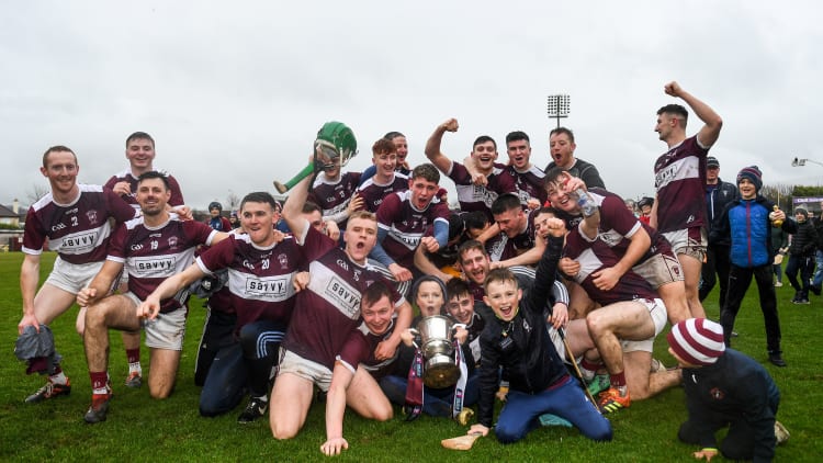 Borris-Ileigh defeated Ballygunner in the AIB Munster Club SHC Final at Pairc Ui Rinn.