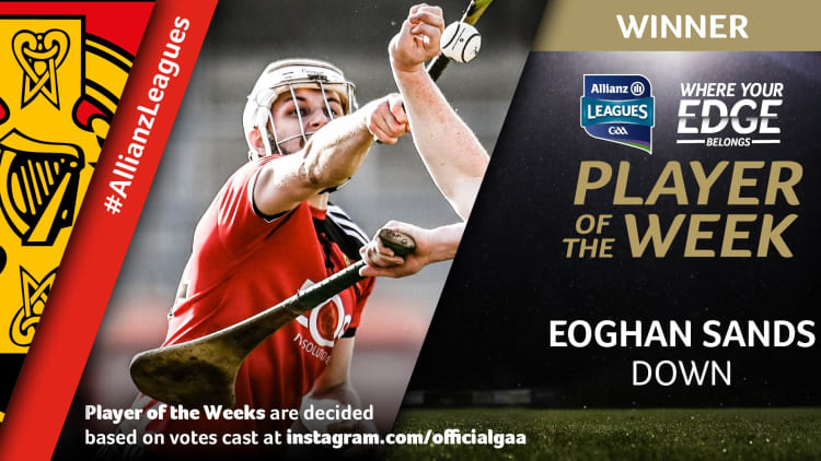 GAA.ie Hurler of the Week Eoghan Sands