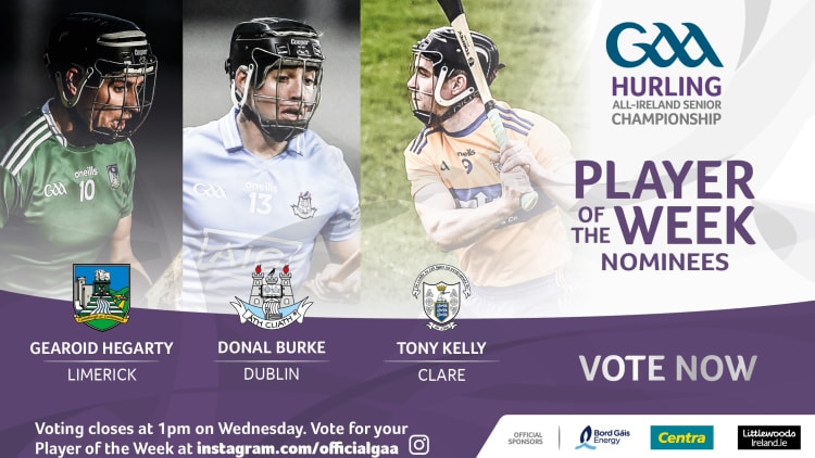 GAA.ie Hurler of the Week nominations.