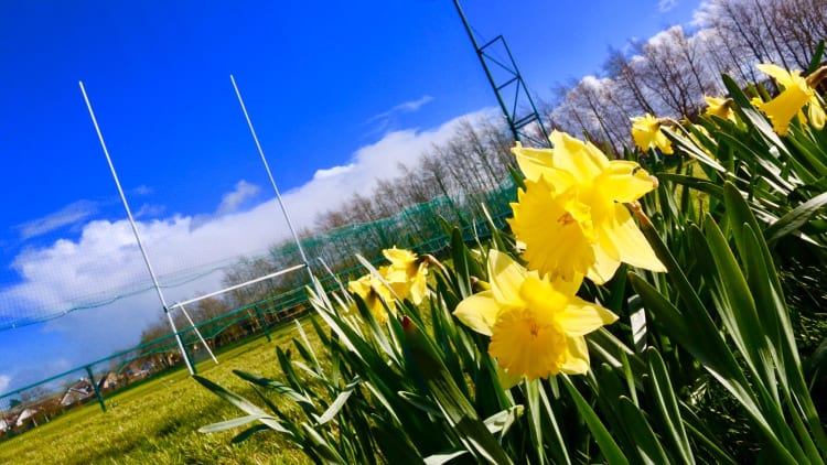 St James' GAA Club pitch in Mervue on the east side of Galway city.