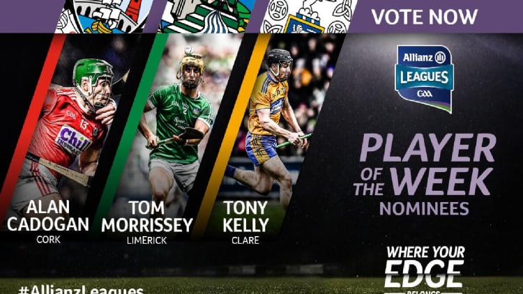 GAA.ie Hurler of the Week nominations.