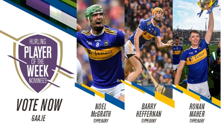 GAA.ie Hurler of the Week nominations.